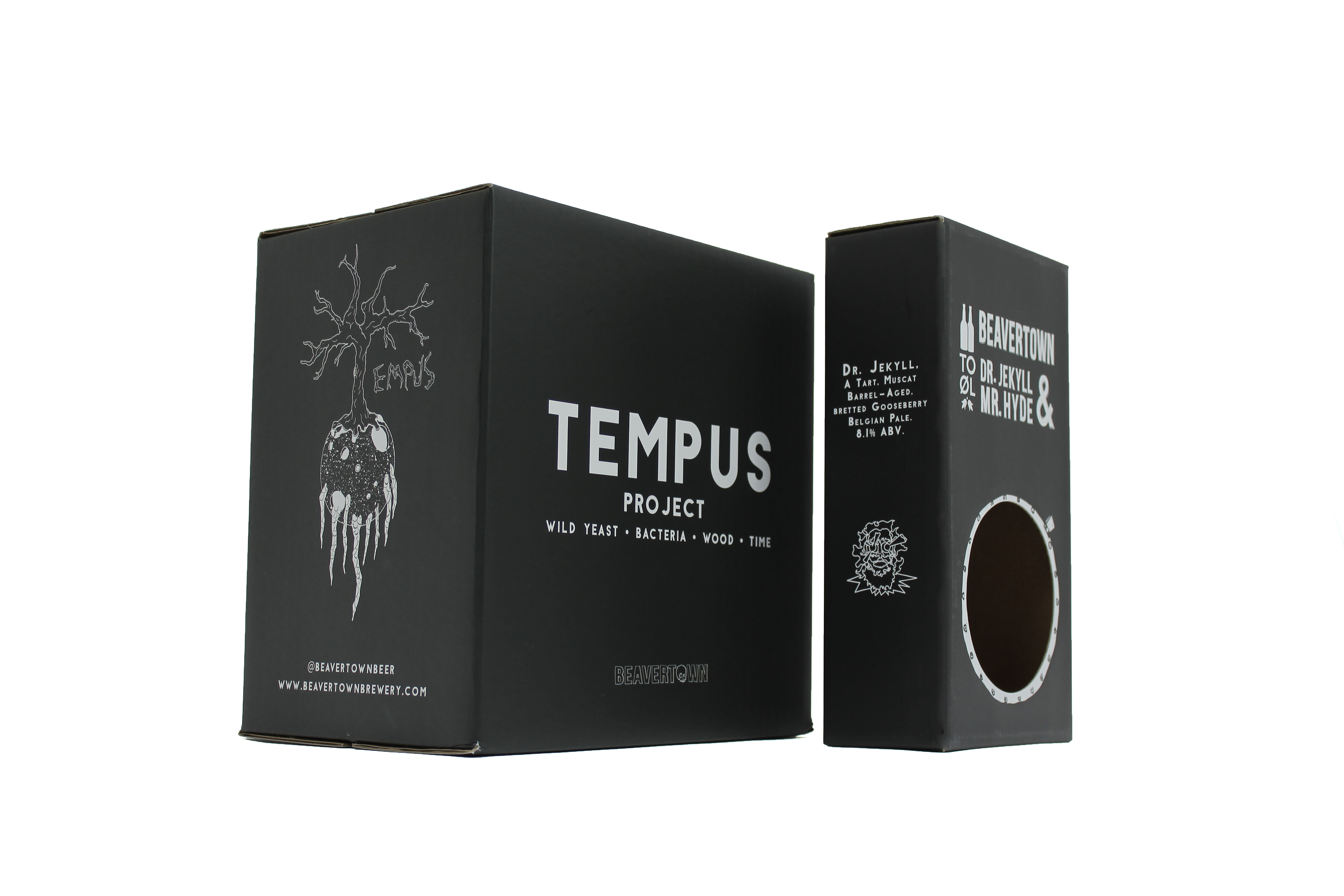 Tempus Project (2)