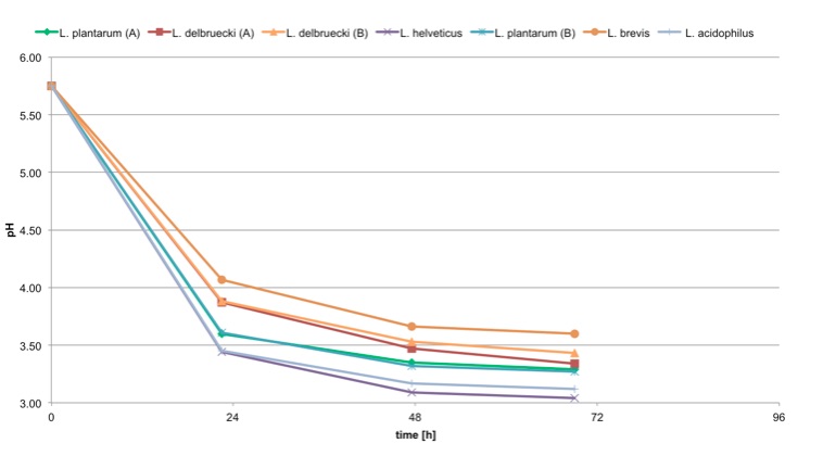 Graph 3