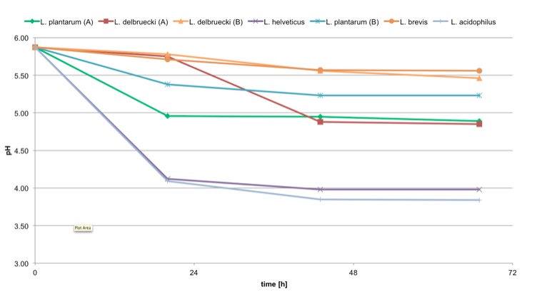 Graph 4