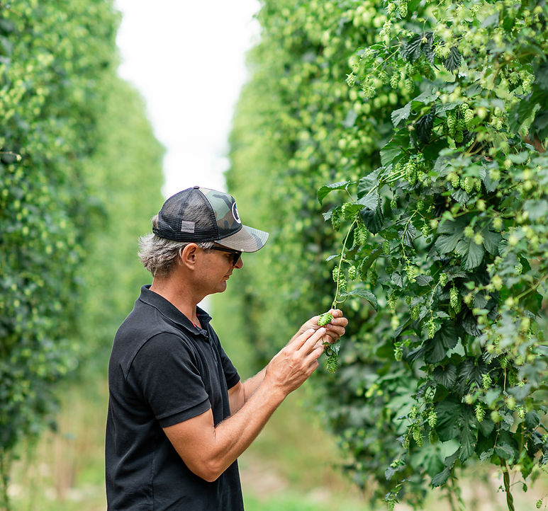 Hop)opposites Attract | Clayton Hops 